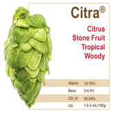 Citra® Hops
